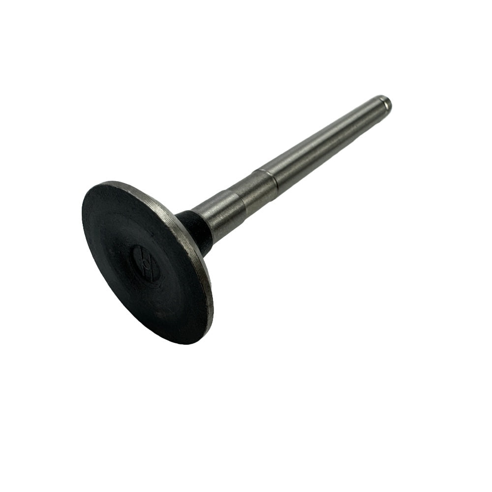 Exhaust Valve Fit For FAWDE KD488D Engine