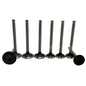 Exhaust + Intake Valve Fit For FAWDE KD488D Engine