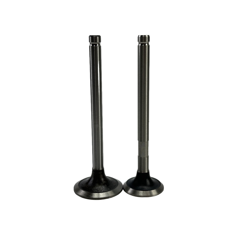 Exhaust + Intake Valve Fit For FAWDE KD488D Engine