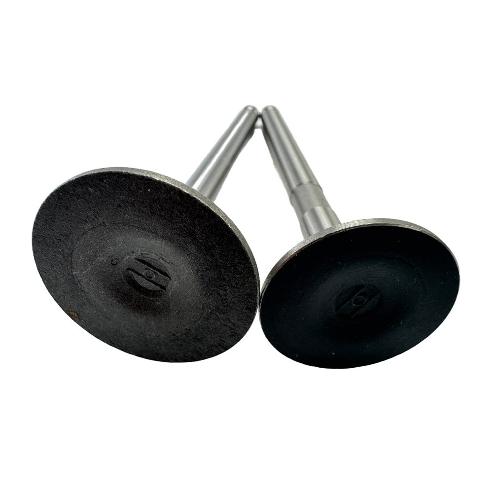 Exhaust + Intake Valve Fit For FAWDE KD488D Engine