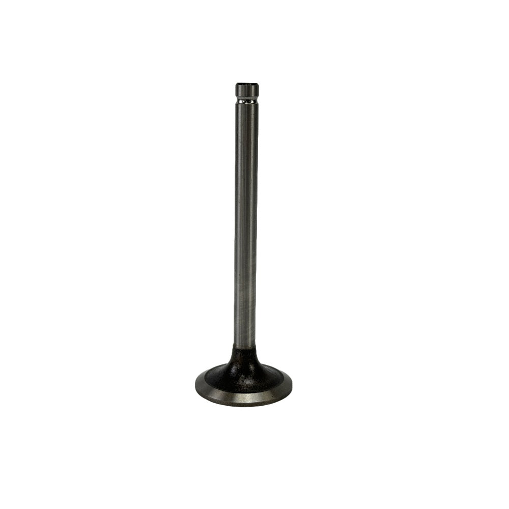 Intake Valve Fit For FAWDE KD488D Engine